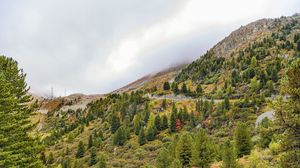 Preview wallpaper mountain, slope, trees, fog, landscape