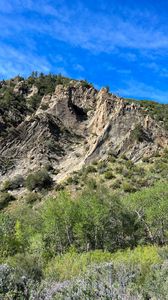 Preview wallpaper mountain, slope, trees, nature