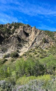 Preview wallpaper mountain, slope, trees, nature