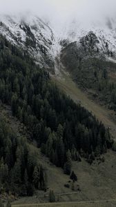 Preview wallpaper mountain, slope, trees, landscape, snow