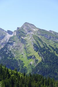 Preview wallpaper mountain, slope, trees, forest, relief