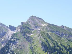 Preview wallpaper mountain, slope, trees, forest, relief