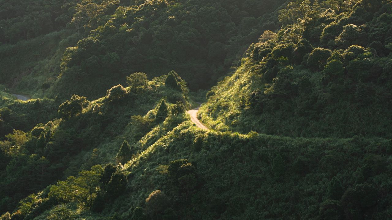 Wallpaper mountain, slope, trees, trail