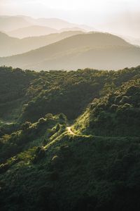 Preview wallpaper mountain, slope, trees, trail