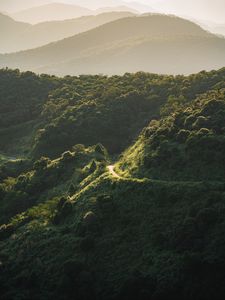 Preview wallpaper mountain, slope, trees, trail