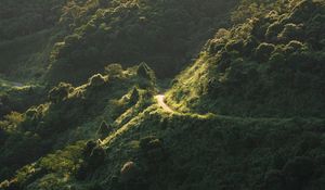 Preview wallpaper mountain, slope, trees, trail