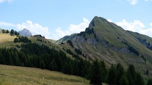 Preview wallpaper mountain, slope, trees, grass