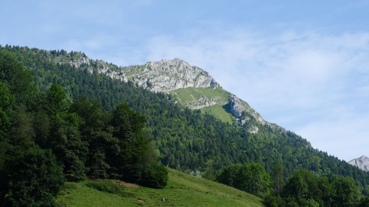 Wallpaper mountain, slope, trees, forest, landscape