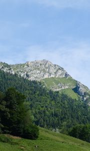 Preview wallpaper mountain, slope, trees, forest, landscape