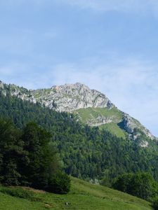 Preview wallpaper mountain, slope, trees, forest, landscape