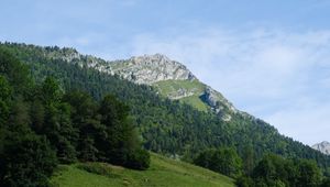 Preview wallpaper mountain, slope, trees, forest, landscape