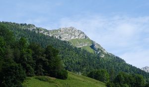 Preview wallpaper mountain, slope, trees, forest, landscape