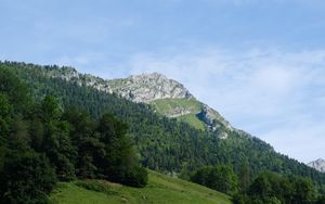 Preview wallpaper mountain, slope, trees, forest, landscape