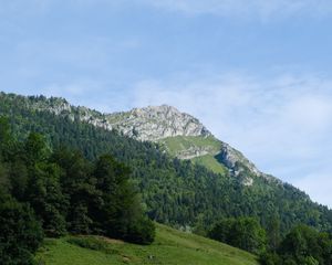 Preview wallpaper mountain, slope, trees, forest, landscape