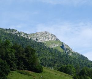 Preview wallpaper mountain, slope, trees, forest, landscape