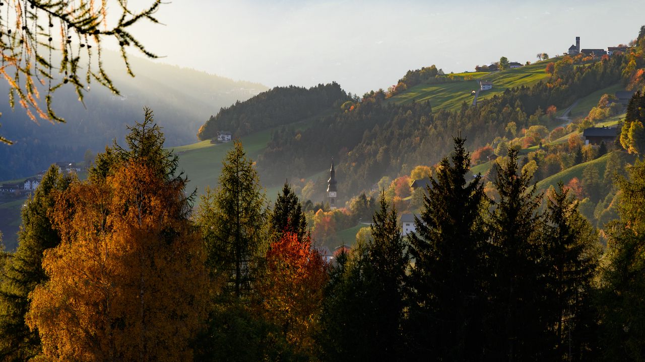 Wallpaper mountain, slope, trees, fog, nature