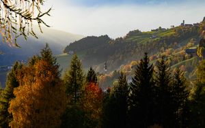 Preview wallpaper mountain, slope, trees, fog, nature