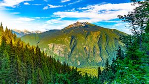 Preview wallpaper mountain, slope, trees, nature, forest