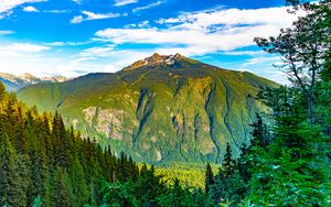 Preview wallpaper mountain, slope, trees, nature, forest