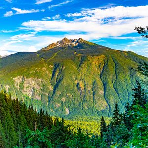 Preview wallpaper mountain, slope, trees, nature, forest