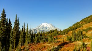 Preview wallpaper mountain, slope, trees, landscape