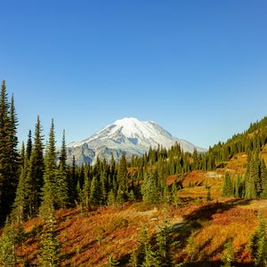 Preview wallpaper mountain, slope, trees, landscape