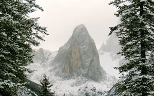 Preview wallpaper mountain, snow, branches, hill