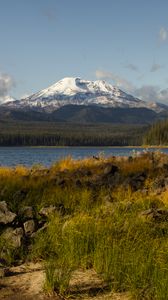 Preview wallpaper mountain, snow, forest, lake, grass, landscape