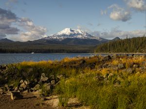 Preview wallpaper mountain, snow, forest, lake, grass, landscape