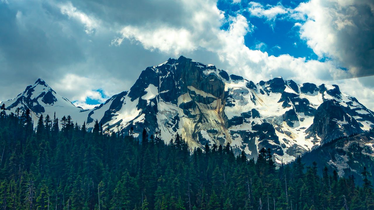 Wallpaper mountain, snow, forest, trees, landscape