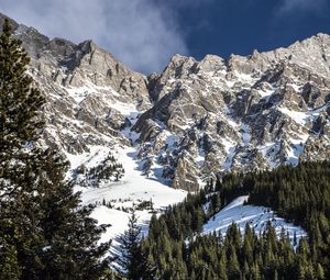 Preview wallpaper mountain, snow, forest, trees, winter, landscape