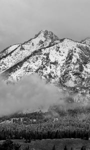 Preview wallpaper mountain, snow, forest, cloud, landscape, bw
