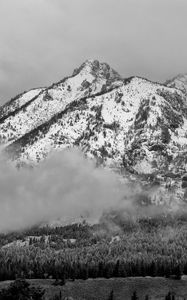 Preview wallpaper mountain, snow, forest, cloud, landscape, bw