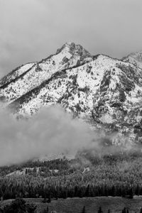 Preview wallpaper mountain, snow, forest, cloud, landscape, bw