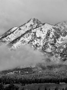 Preview wallpaper mountain, snow, forest, cloud, landscape, bw