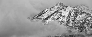 Preview wallpaper mountain, snow, forest, cloud, landscape, bw