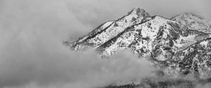 Preview wallpaper mountain, snow, forest, cloud, landscape, bw