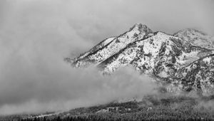 Preview wallpaper mountain, snow, forest, cloud, landscape, bw