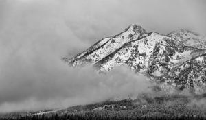 Preview wallpaper mountain, snow, forest, cloud, landscape, bw