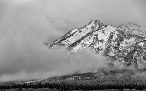 Preview wallpaper mountain, snow, forest, cloud, landscape, bw