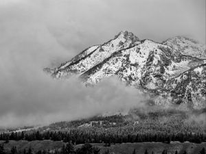 Preview wallpaper mountain, snow, forest, cloud, landscape, bw