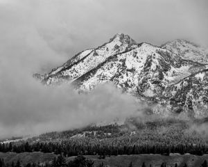 Preview wallpaper mountain, snow, forest, cloud, landscape, bw