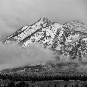 Preview wallpaper mountain, snow, forest, cloud, landscape, bw