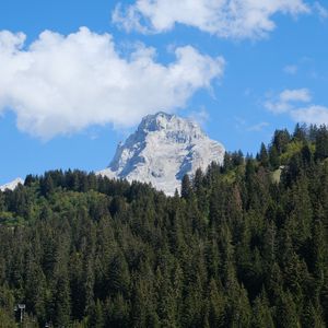 Preview wallpaper mountain, snow, forest, trees, landscape, nature