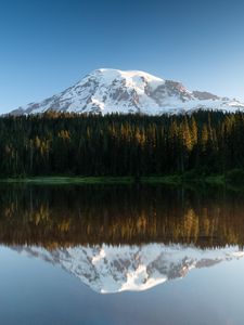 Preview wallpaper mountain, snow, forest, trees, reflection, lake