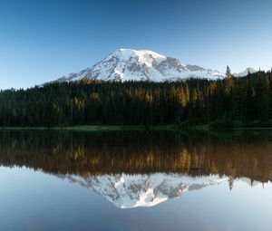 Preview wallpaper mountain, snow, forest, trees, reflection, lake