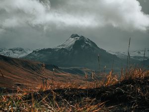 Preview wallpaper mountain, snow, grass, landscape, nature