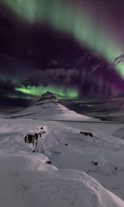 Preview wallpaper mountain, snow, northern lights, winter, night