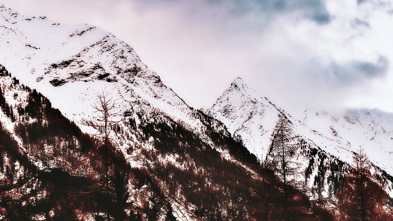 Wallpaper mountain, snow, peak, trees, sky