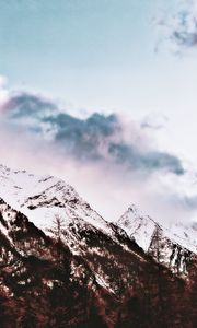 Preview wallpaper mountain, snow, peak, trees, sky